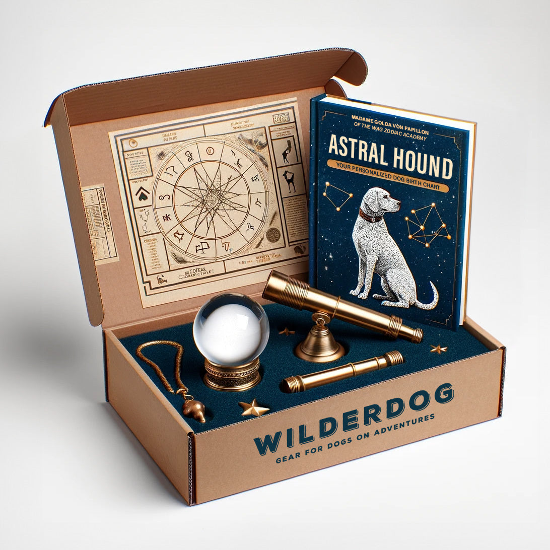 Astral Hound: Personalized Dog Birth Chart