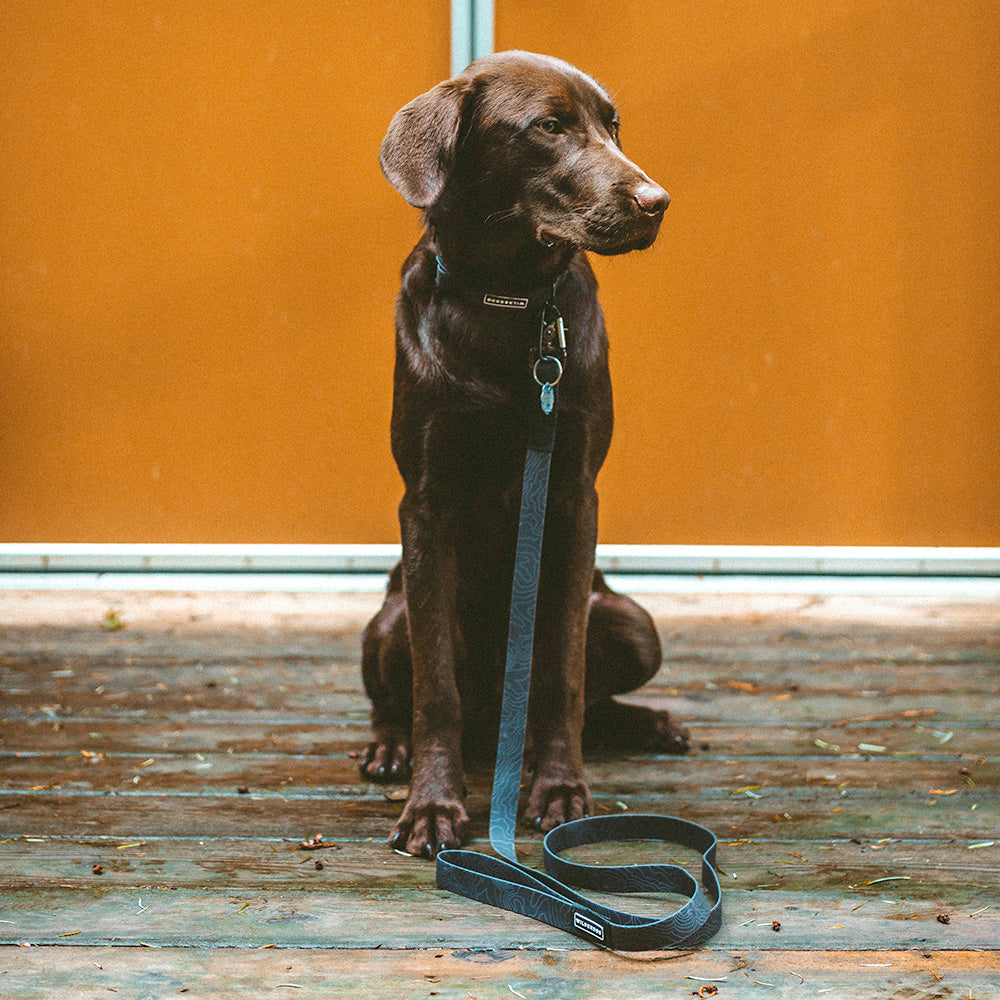 Black Waterproof Collar