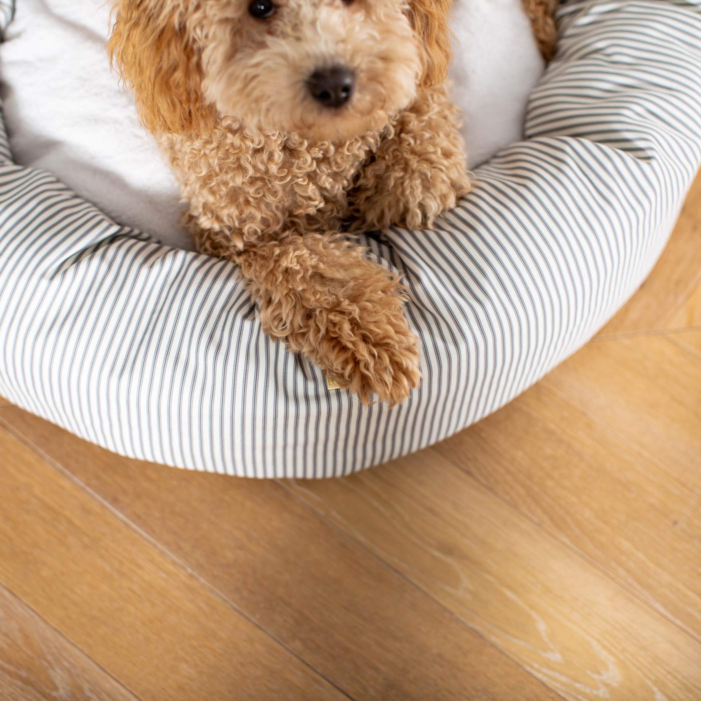 Donut Bed in Regency Stripe by Lords & Labradors