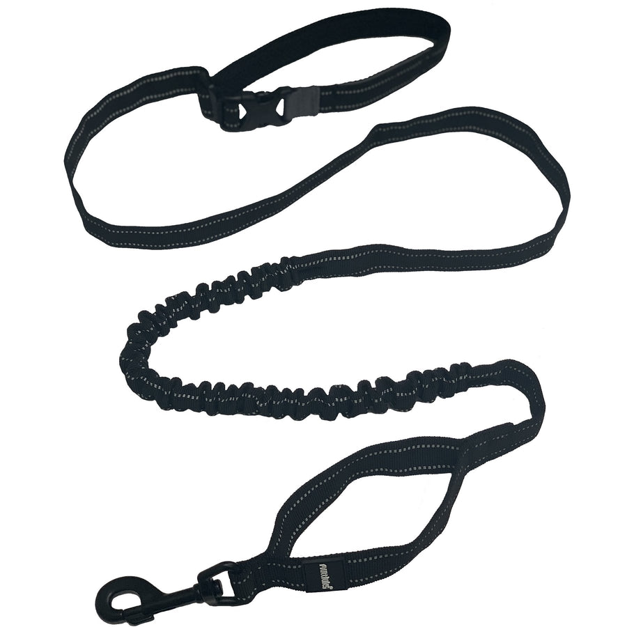 MuTTravel 2-in-1 Hands-Free Bungee Leash Medium