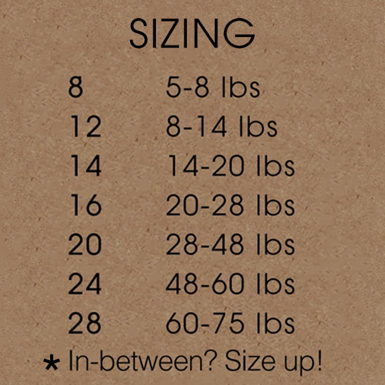 Turquoise Sky Sport Fleece