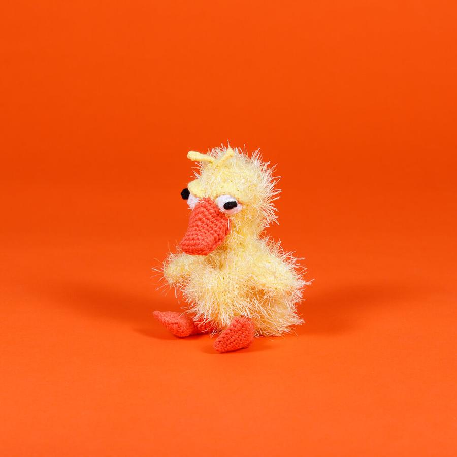 Ware of the Dog - Crochet Duck