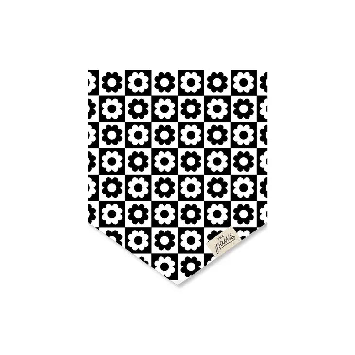 The Paws Bandana - Tux Flower Checkers