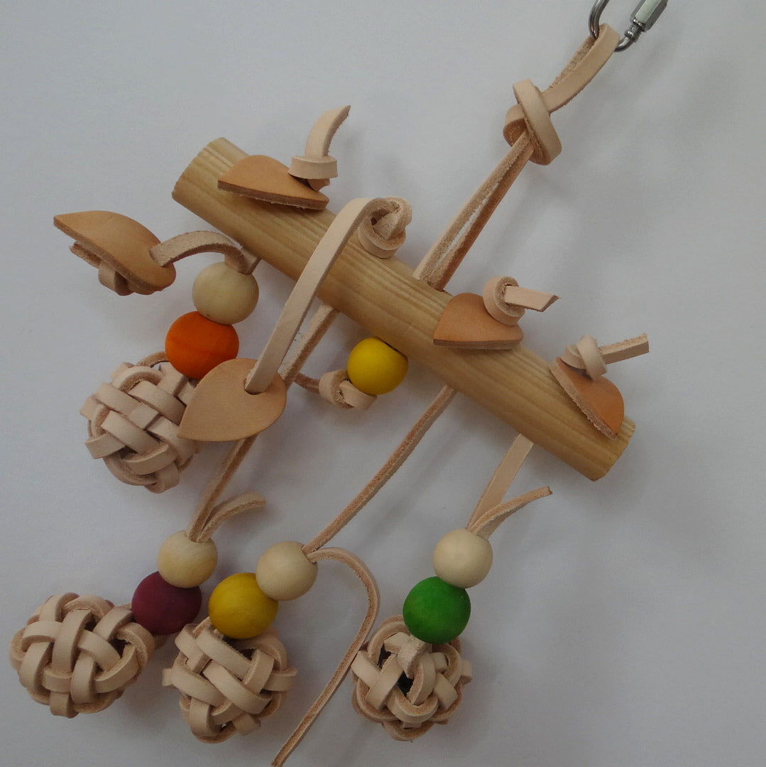 Pablo's Berry Heaven