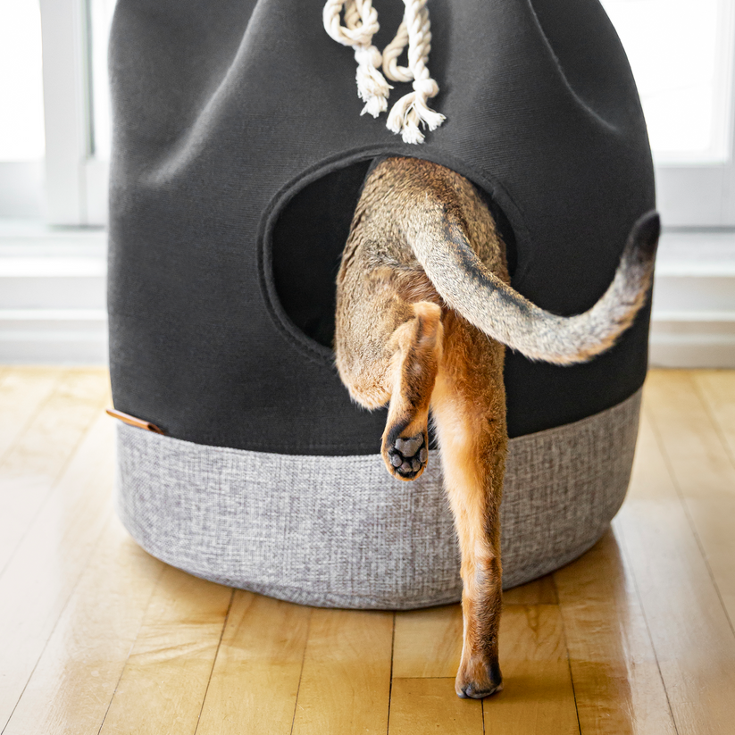 Calming Cat Hideaway Bed