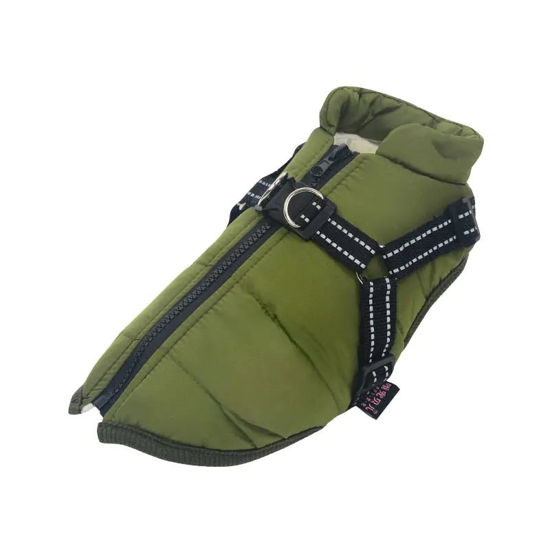Winter Dog Jacket Green
