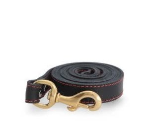 Lacets Arizona - Double Leather Dog Lead Brown