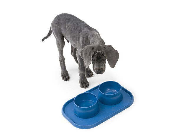 West Paw Ocean Bound Plastic No Slip Bowl