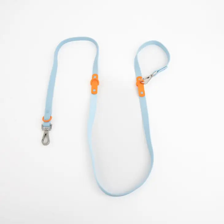 Approved by Fritz - Baby Blue/Orange Leash
