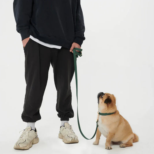 Furei Pets Waterproof Adjustable Leash - Forest