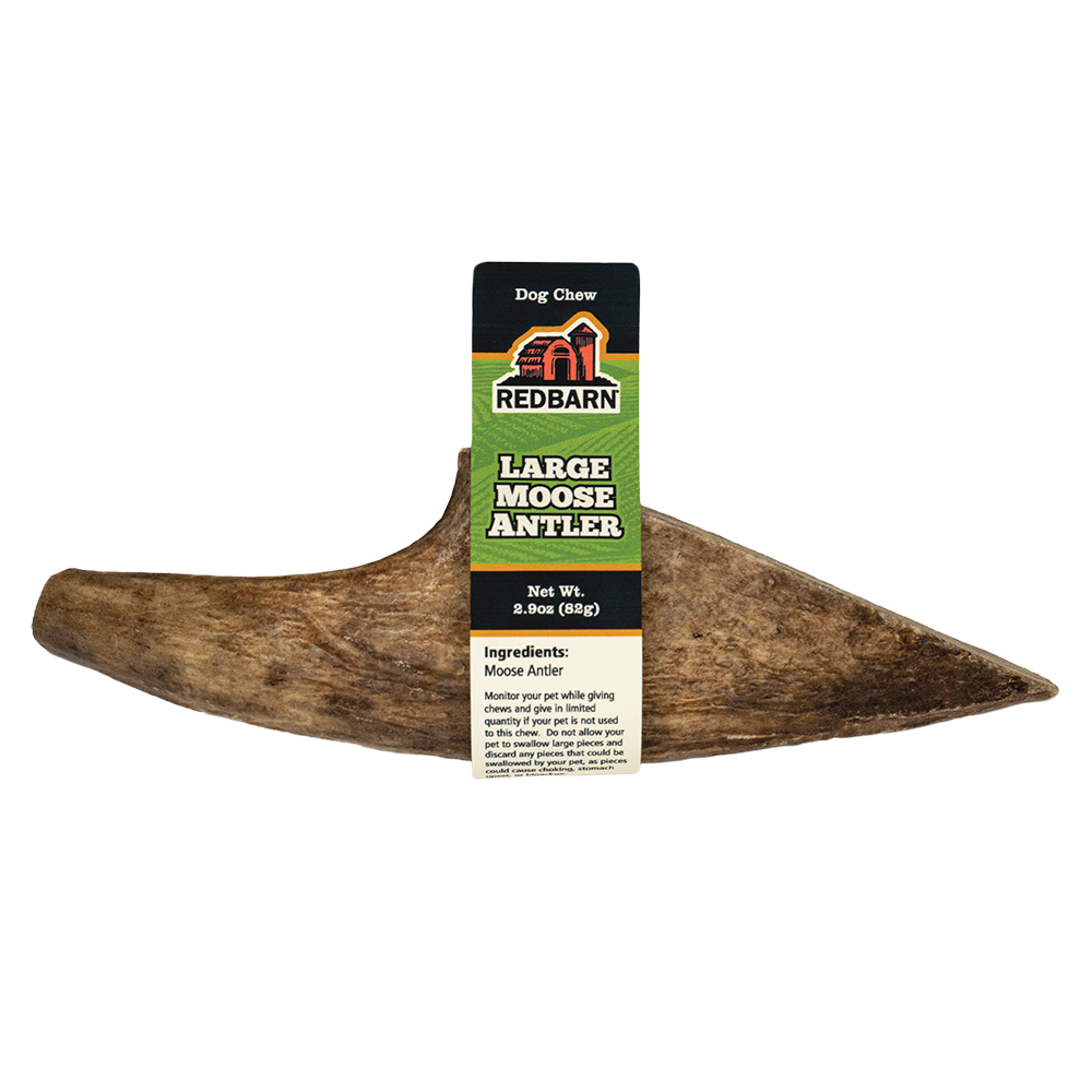 Redbarn Palm Moose Antler