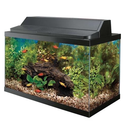 Aqueon Basic Aquarium Kit -10 gal