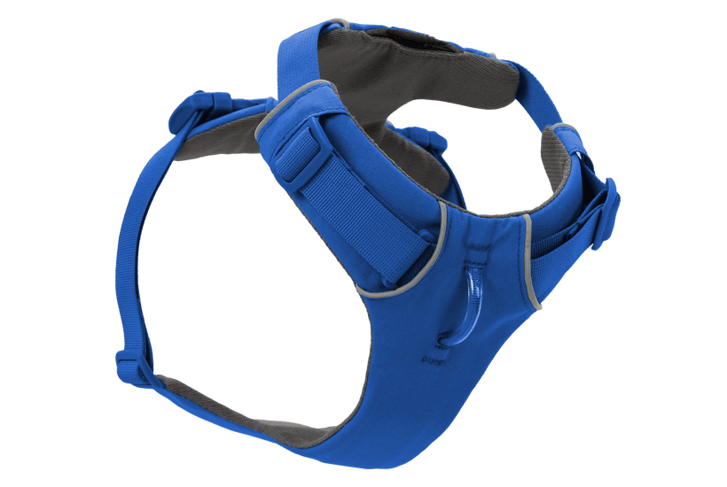 Ruffwear Front Range Dog Harness in Blue Pool