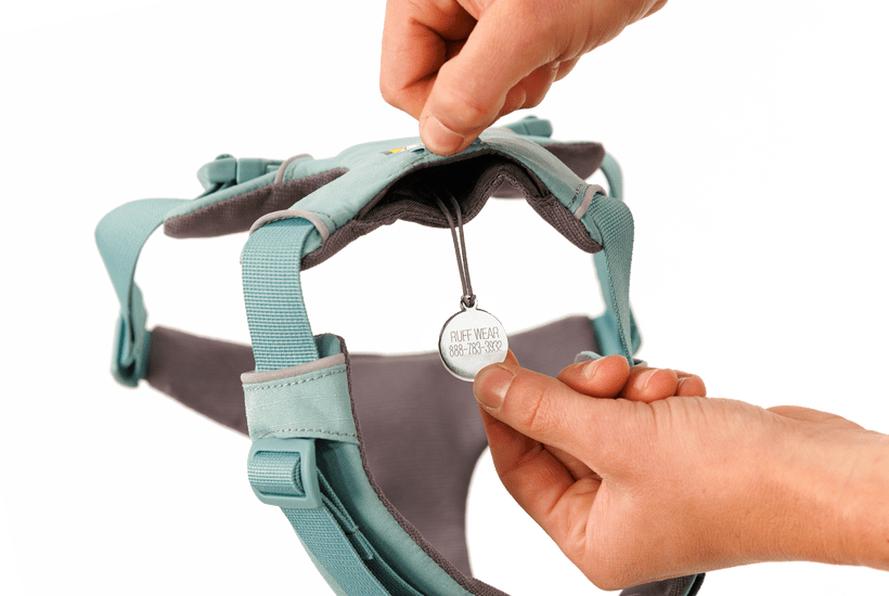 Ruffwear Front Range Dog Harness in River Rock Green