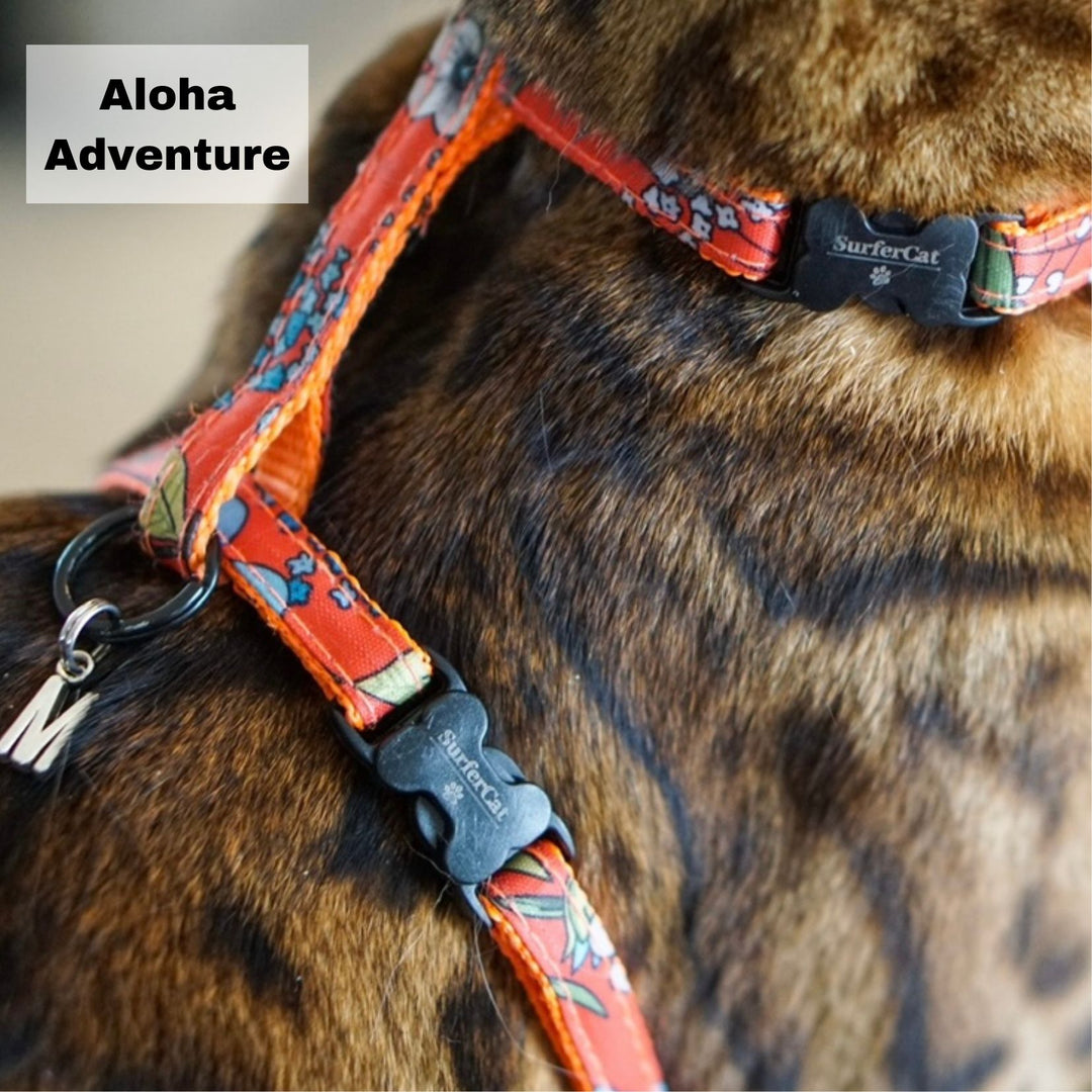Surfer Cat Harness