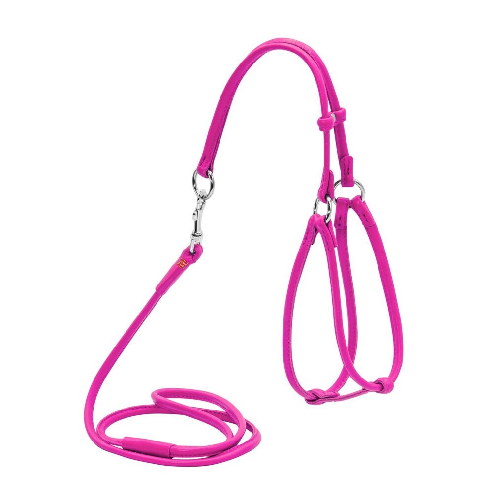 Dog Collar Harness WAUDOG Glamour round with a lead for cats and small dogs