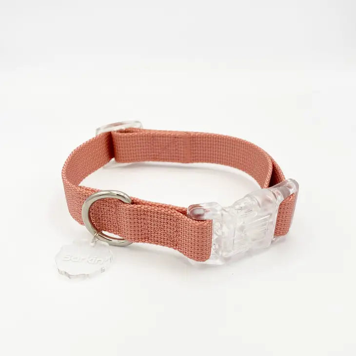 Barkin' Buckle Collar - Terracotta
