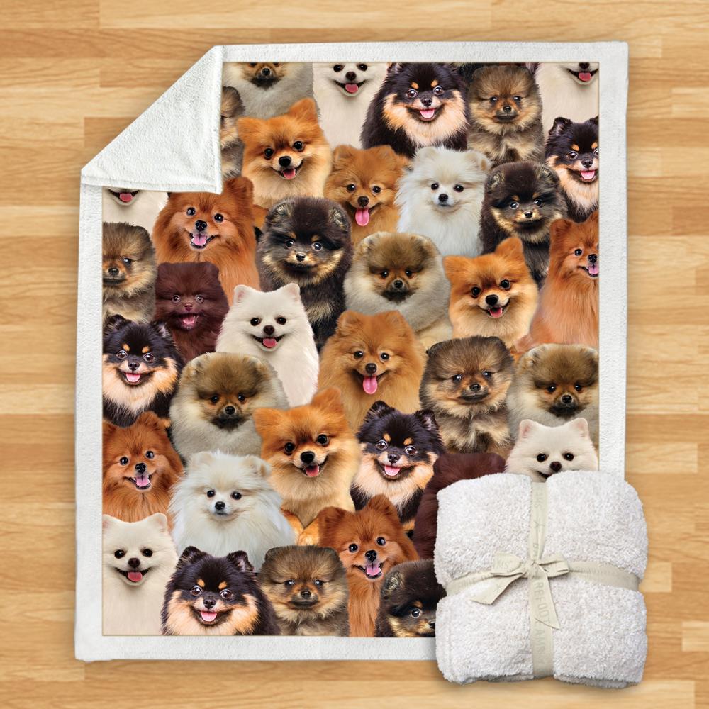 Pet Printed Flannel Blanket