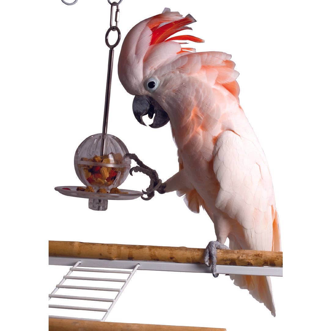 Buffet Ball - Hanging