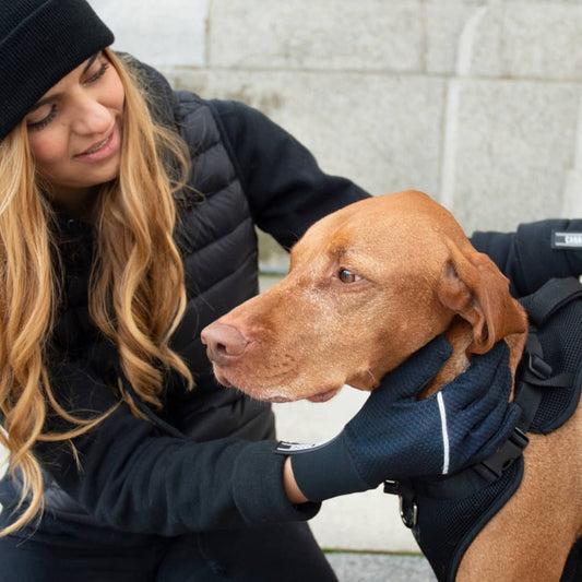 Canada Pooch Dog Walking Gloves