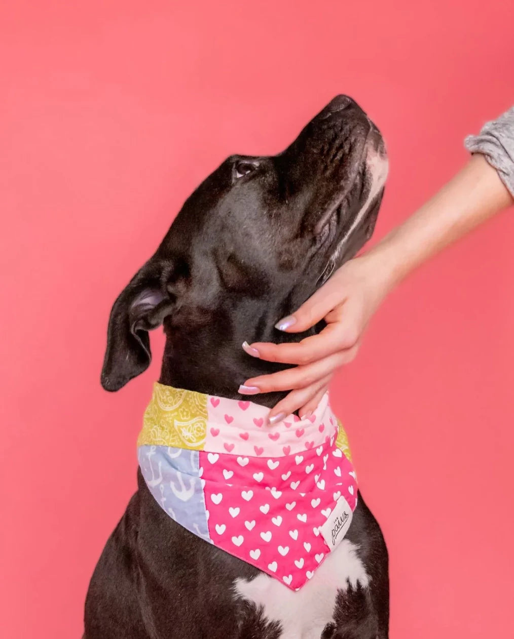 The Paws Bandana - Patches Upcycled Bandana