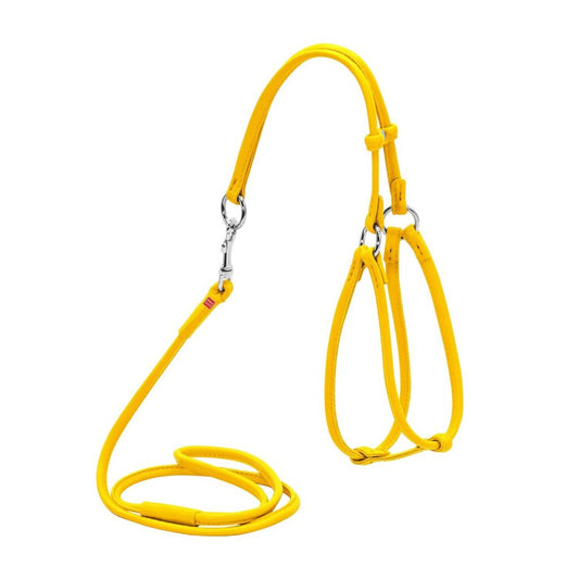 Dog Collar Harness WAUDOG Glamour round with a lead for cats and small dogs