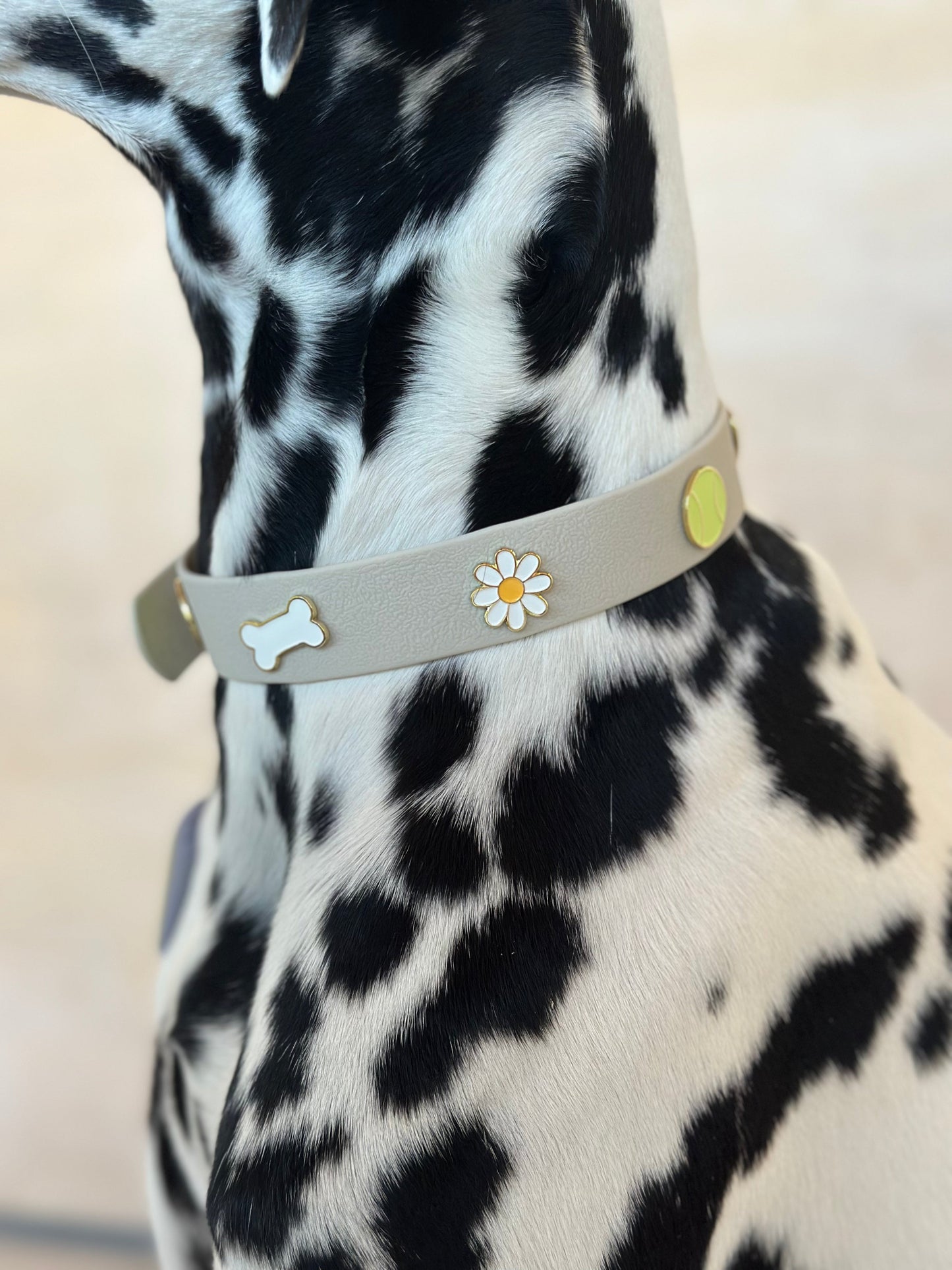 Furei Pets Waterproof Charm Collar - Live Love Tennis Ball