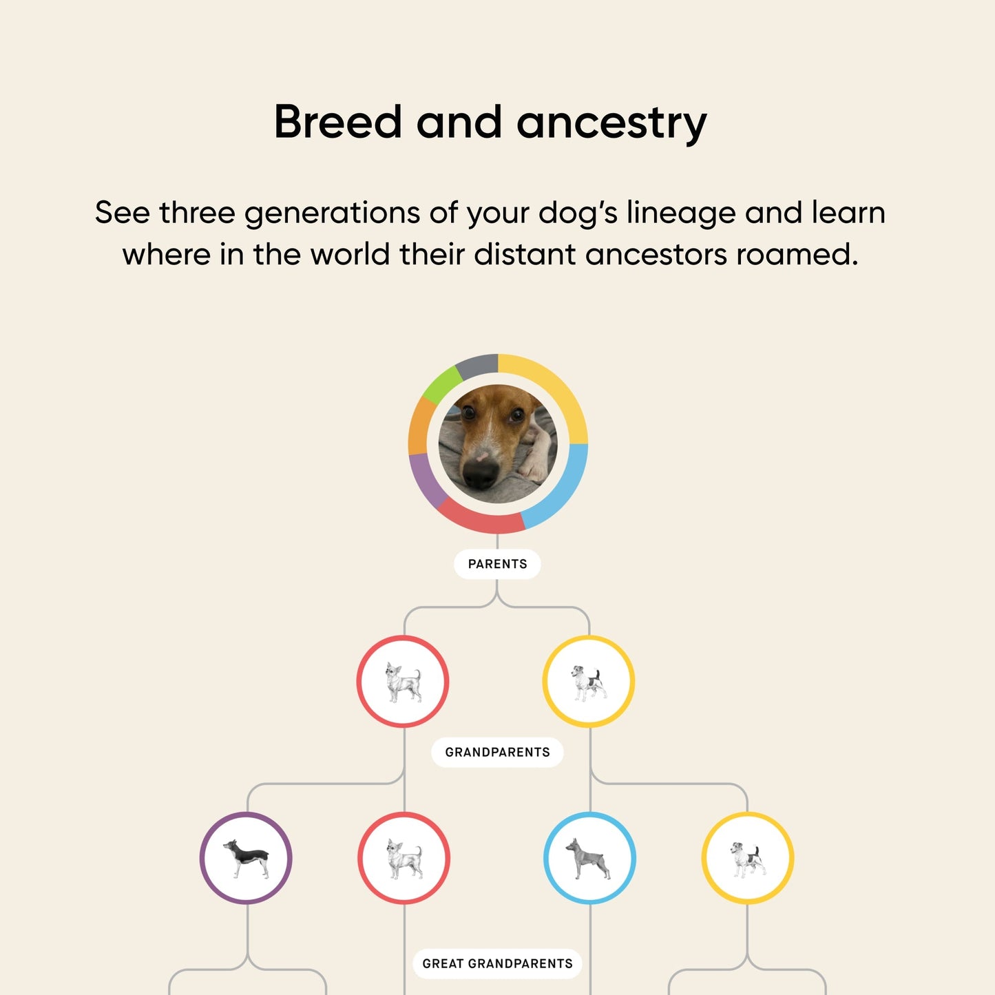 Build your own dog DNA test