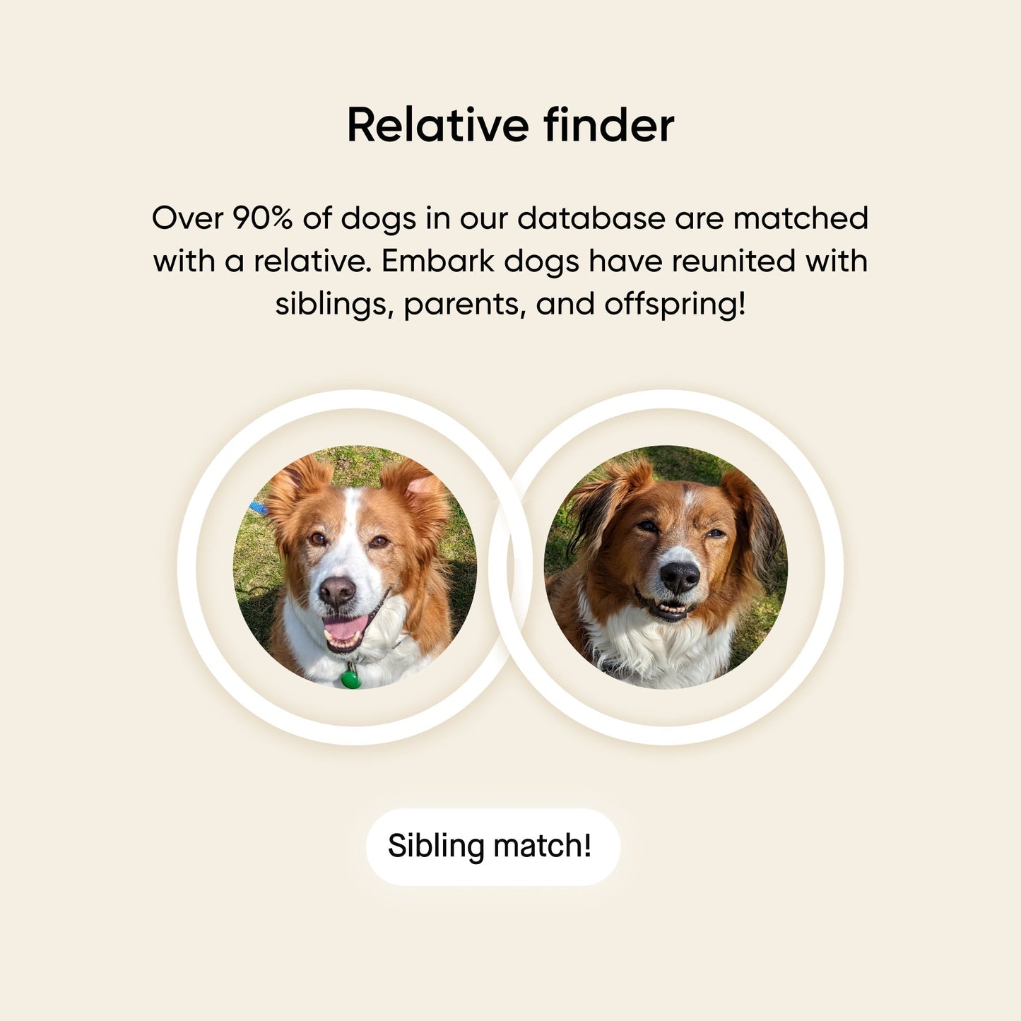 Build your own dog DNA test - EmbarkVet