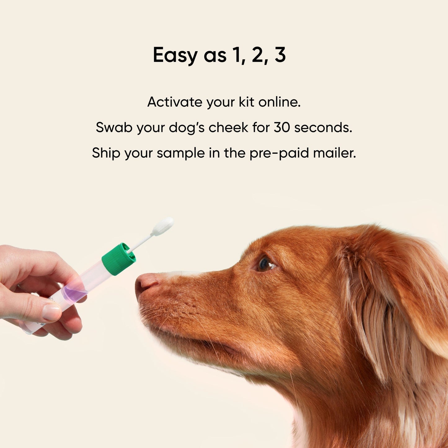 Build your own dog DNA test - EmbarkVet