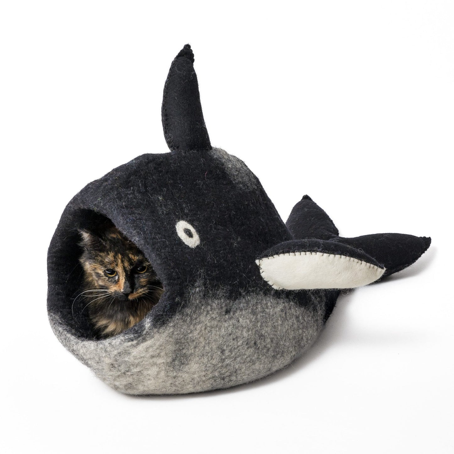 Karma Cat Orca Cave