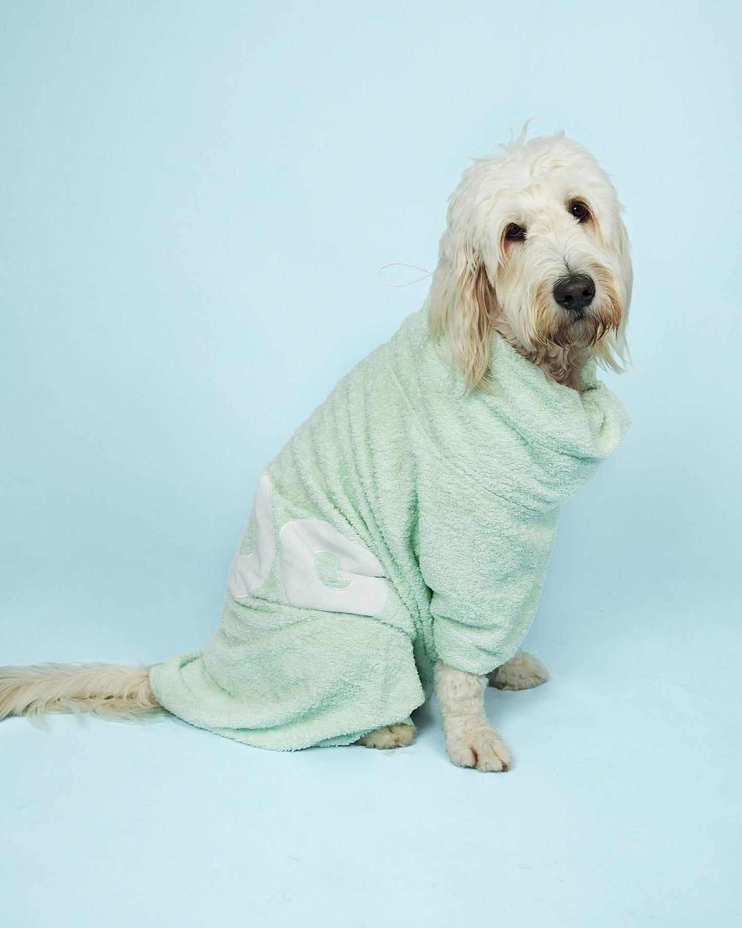 Coat Care Set - Mint