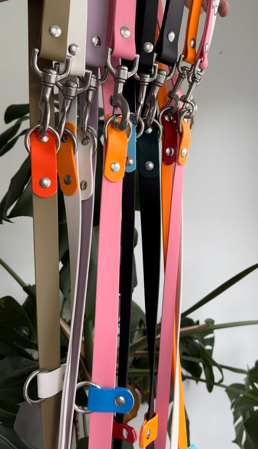 Walk by Good Boy One of a Kind - Build Your Own Custom Any Way Lead