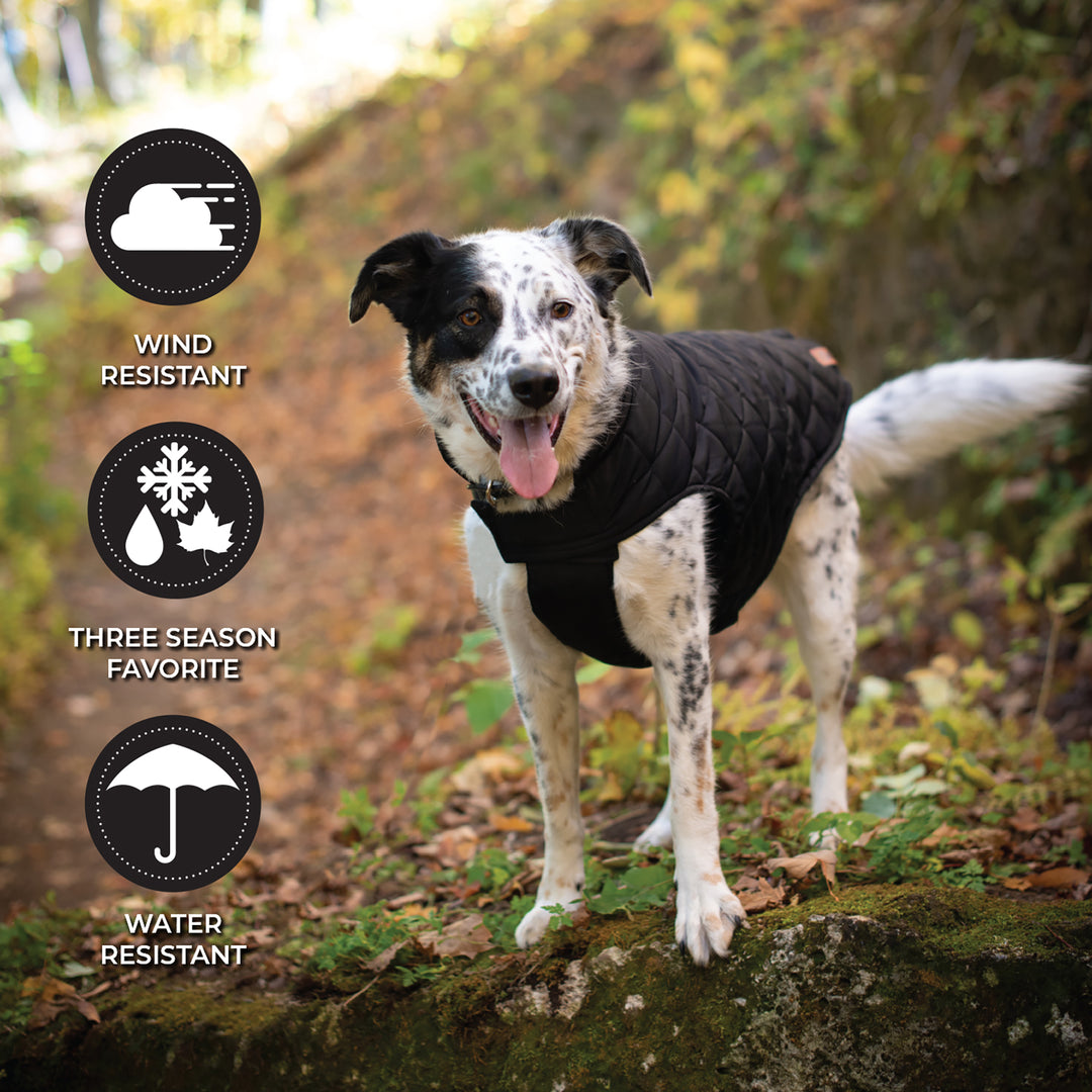 Shedrow Brentwood Dog Coat Black