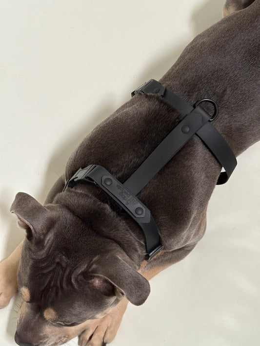 Dog People - Biothane Waterproof Harness - Blackout