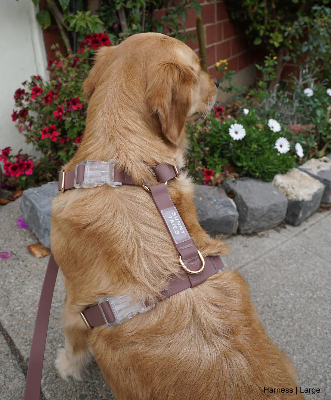 Sunny Tails Waterproof Harness - Espresso