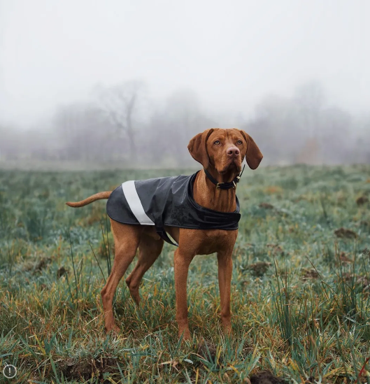 Stutterheim Dog Raincoat - Black (Size XS and S Left)