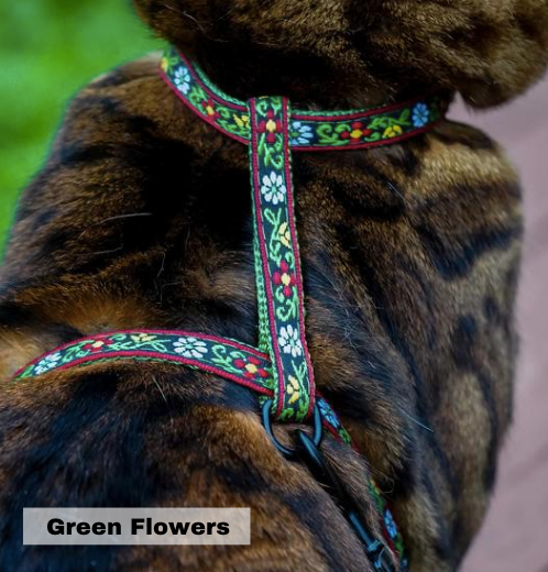 Surfer Cat Harness