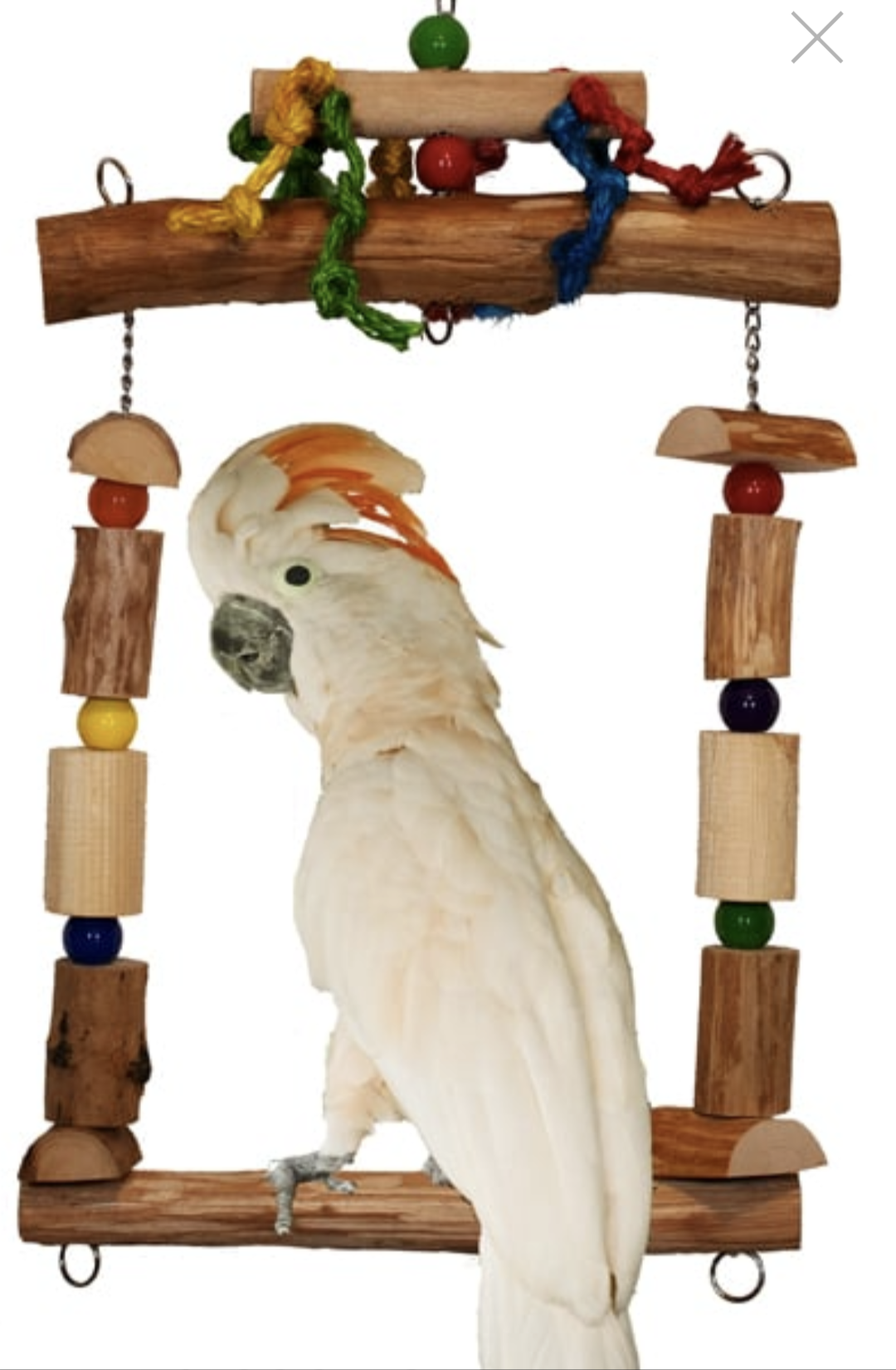 Superbird Mega Swing