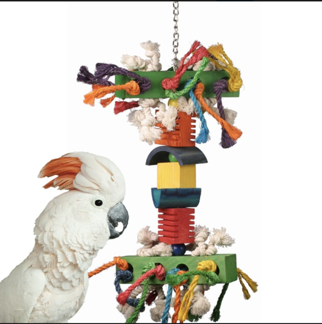 Superbird Creations In the Groove