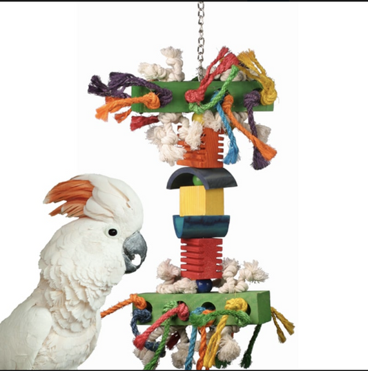 Superbird Creations In the Groove