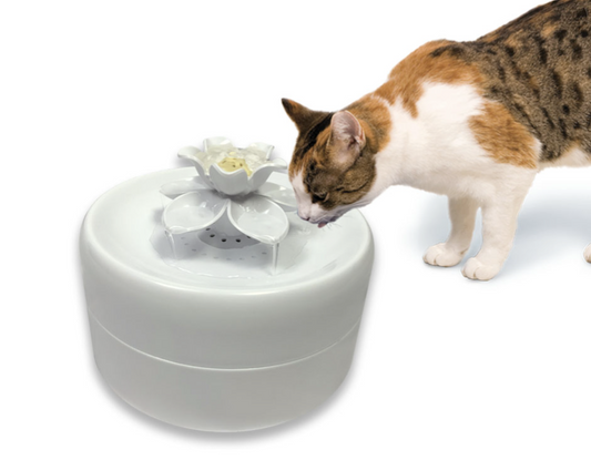 Pioneer Magnolia Fountain 55oz