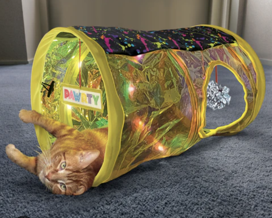 Kong Play Spaces Rave Cave