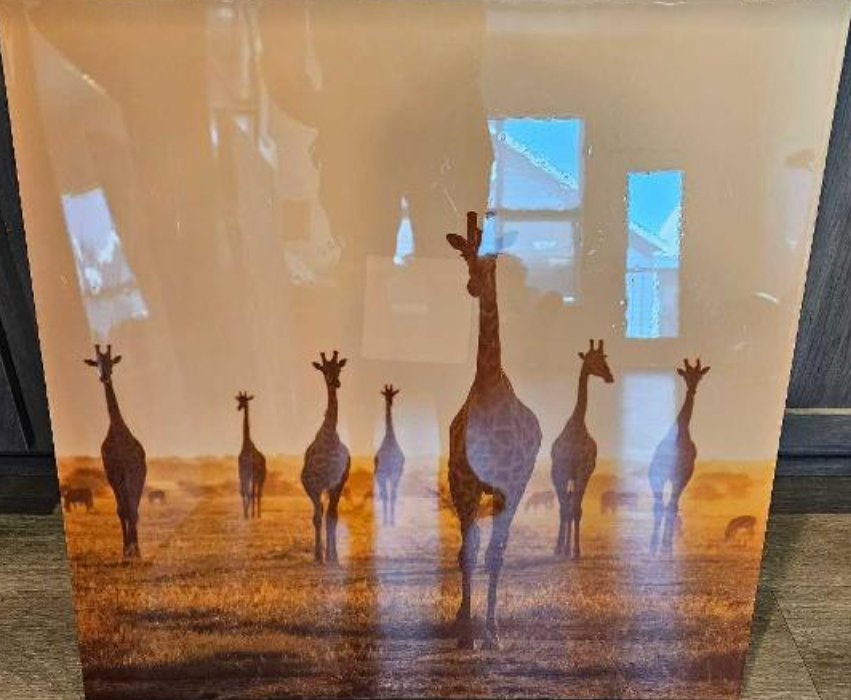 Giraffe canvas print