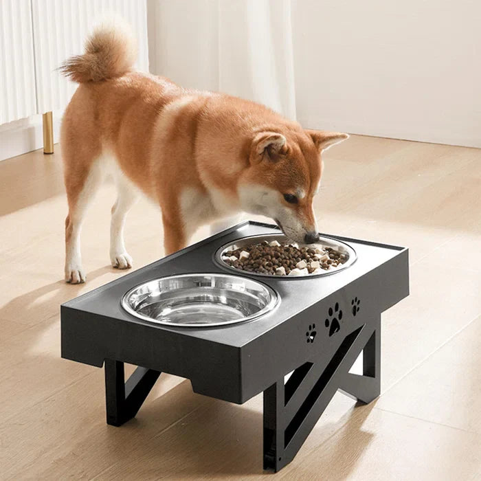 Stainless Adjustable Raised Dog Double Bowls