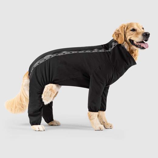 Canada Pooch - Slush Suit Black