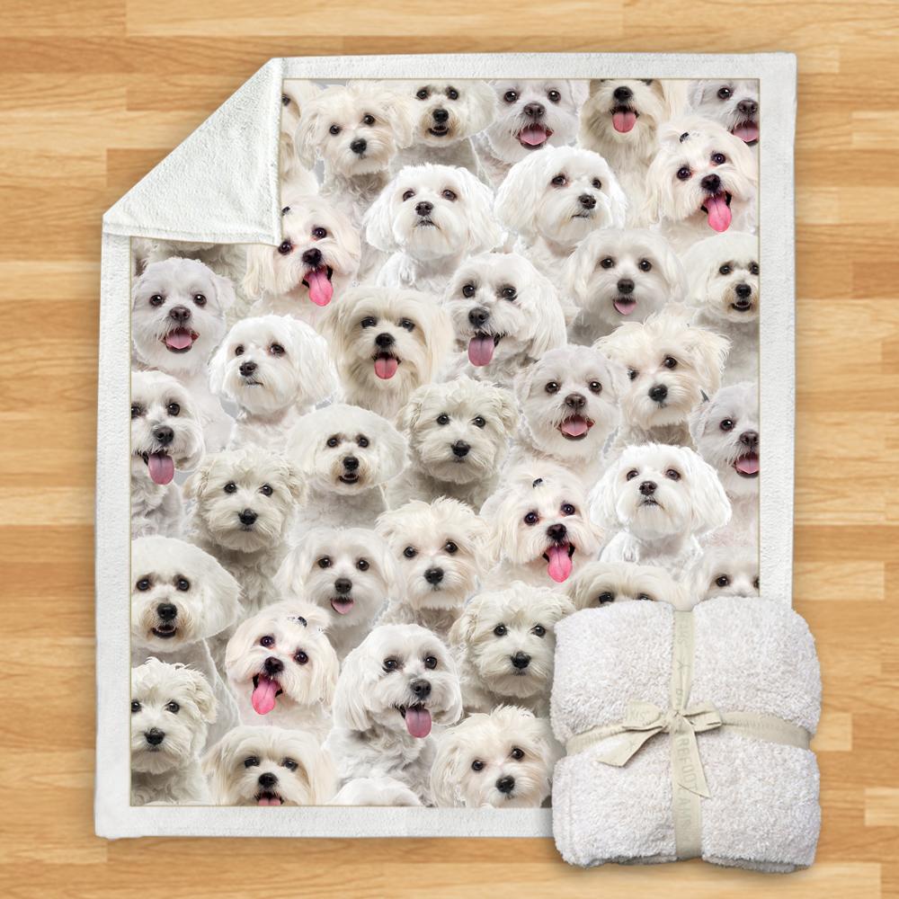 Pet Printed Flannel Blanket