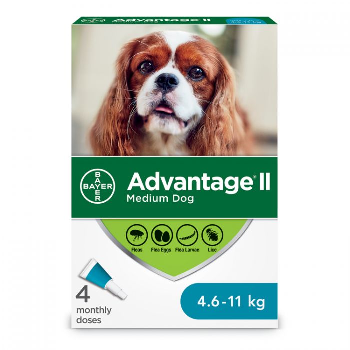 Advantage II Dog
