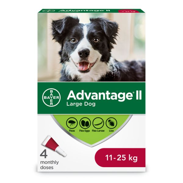 Advantage II Dog