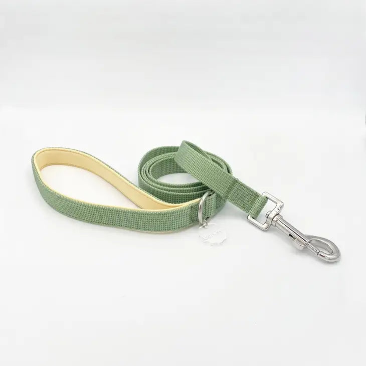 Barkin' Comfort Leash 2.0 - Sage